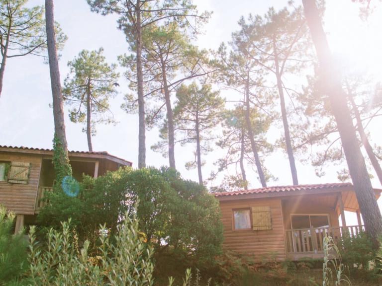 cabane naturéo